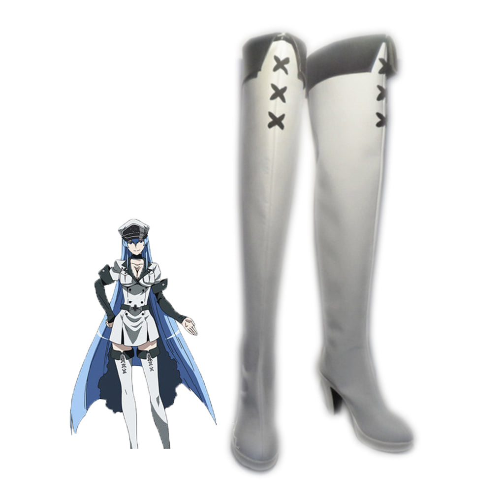 Akame ga KILL Esdese Esdeath Cosplay Costume Custom Made – fortunecosplay