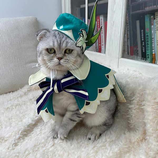This Japanese cat has over 100 cosplay costumes made by its owner