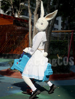 Load image into Gallery viewer, Free Shipping Beastars Haru Cosplay Costume White Rabbit Full Set
