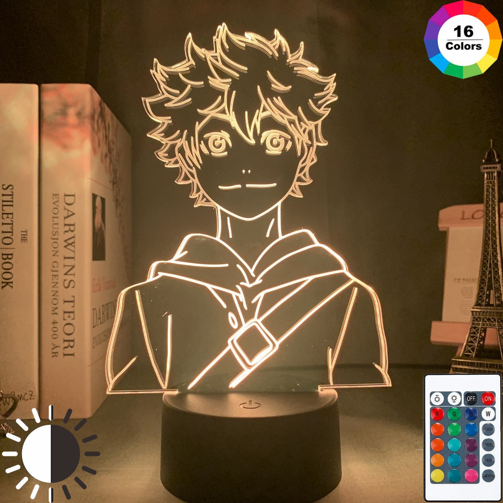Acrylic Led Night Light Anime Haikyuu Shoyo Hinata Figure for Kids Be –  fortunecosplay